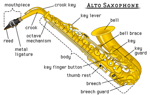 Set Up & Notes - The Alto Saxophone